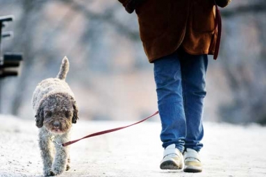 Ten Minute Walk after Meal Can Help Lower Blood Sugar Levels Ten Minute Walk after Meal Can Help Lower Blood Sugar Levels